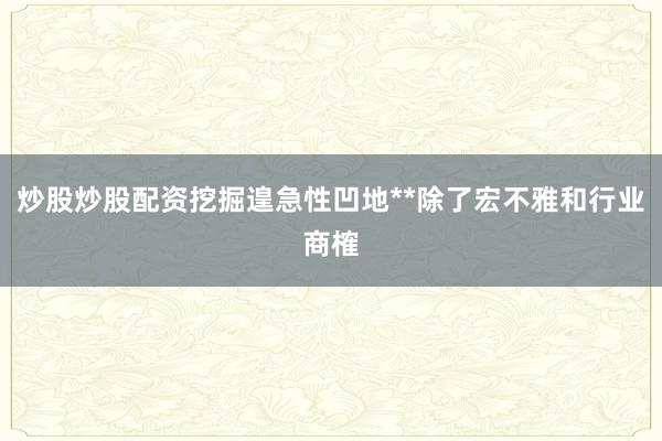 炒股炒股配资挖掘遑急性凹地**除了宏不雅和行业商榷