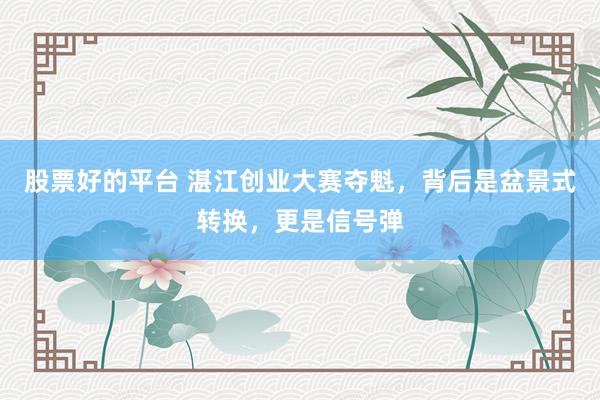 股票好的平台 湛江创业大赛夺魁，背后是盆景式转换，更是信号弹