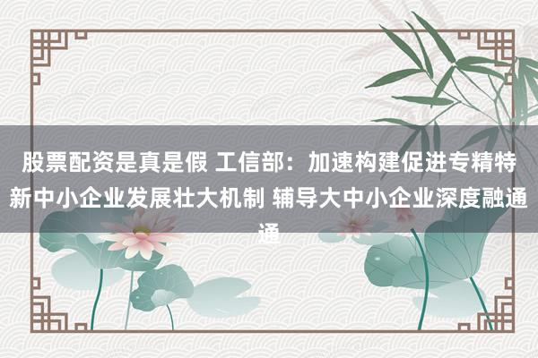 股票配资是真是假 工信部：加速构建促进专精特新中小企业发展壮大机制 辅导大中小企业深度融通