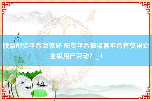 股票配资平台哪家好 配资平台被监管平台有莫得企业级用户劳动？_1